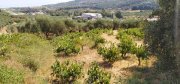 Polemarchi Kreta, Polemarchi: Grundstück in schöner Landschaft mit Meerblick zu verkaufen Grundstück kaufen